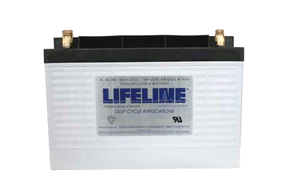 Lifeline Battery Picture