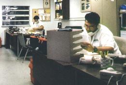 Picture: Sales personnel on telephones.